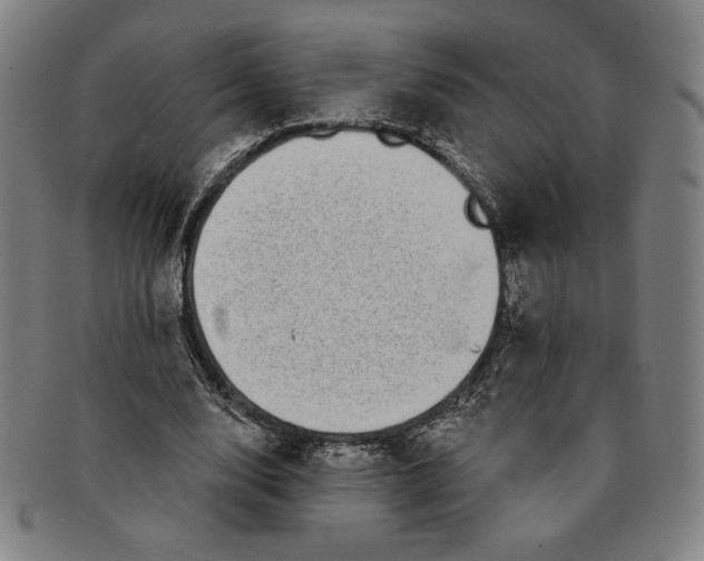 X0000091210632200708301429