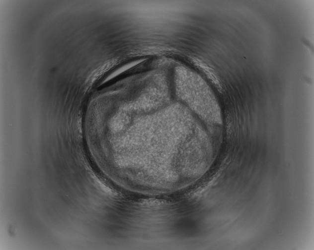 X0000091210633200708301429