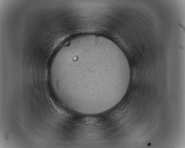 X0000091210636200708301429