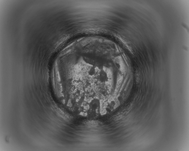 X0000091210637200708301429