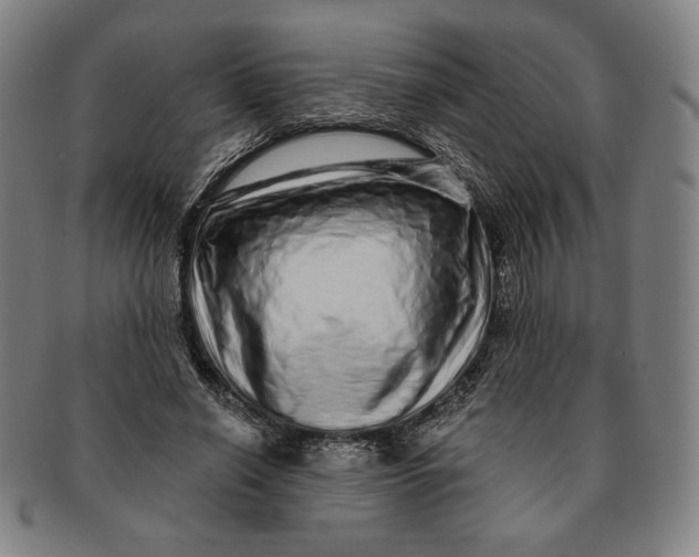 X0000091210638200708301429