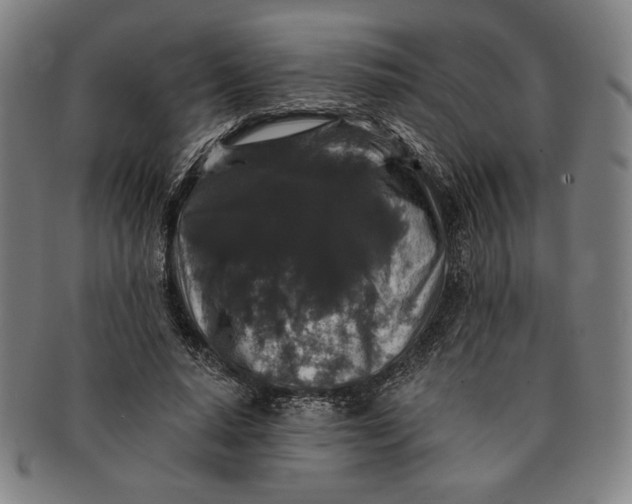 X0000091210640200708301429