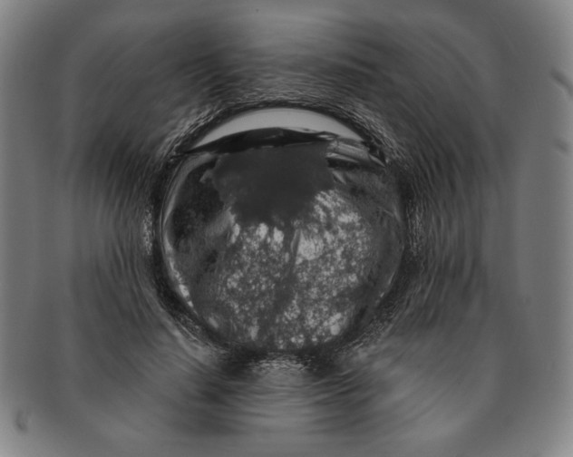 X0000091210644200708301429