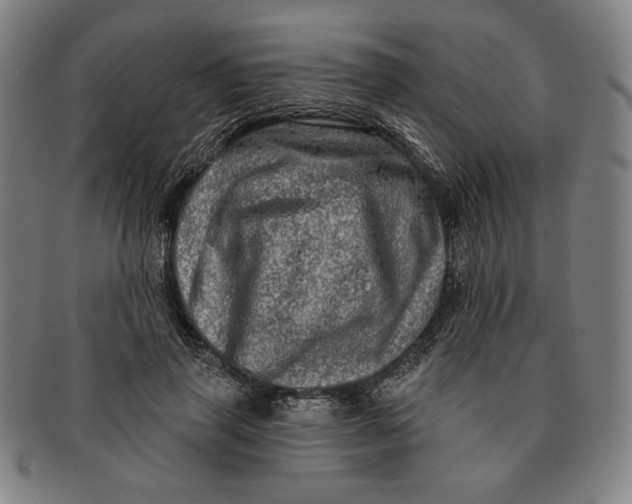 X0000091210645200708301429