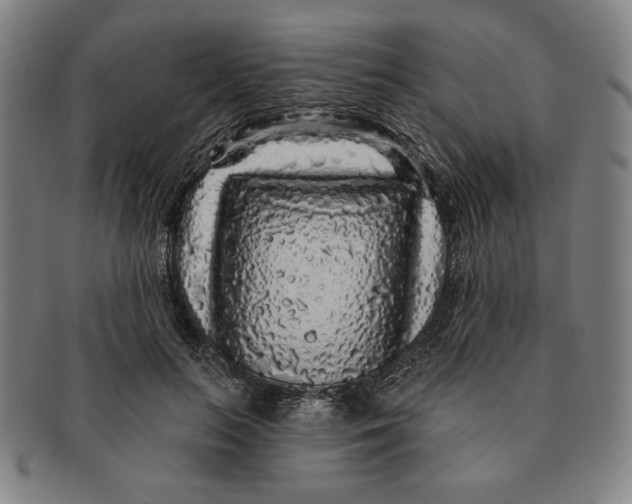 X0000091210647200708301429