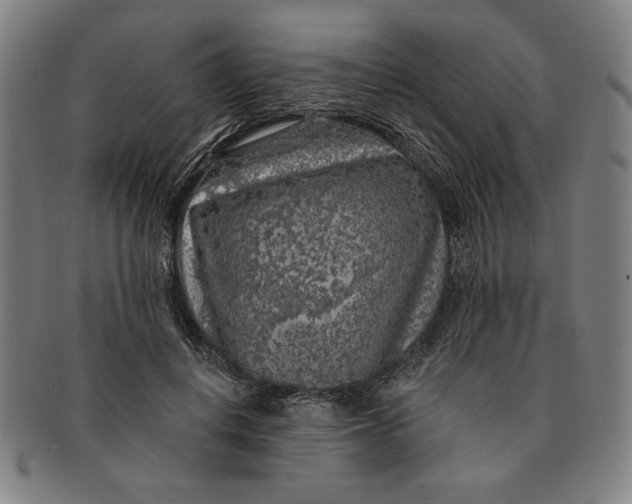 X0000091210648200708301429