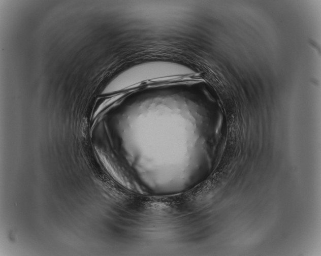 X0000091210649200708301429