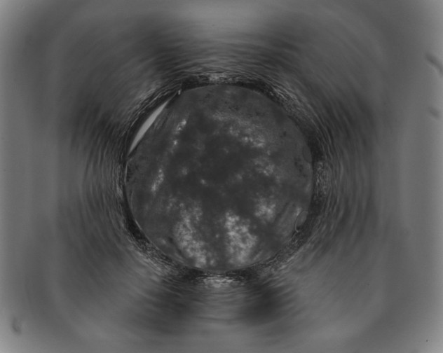 X0000091210650200708301429