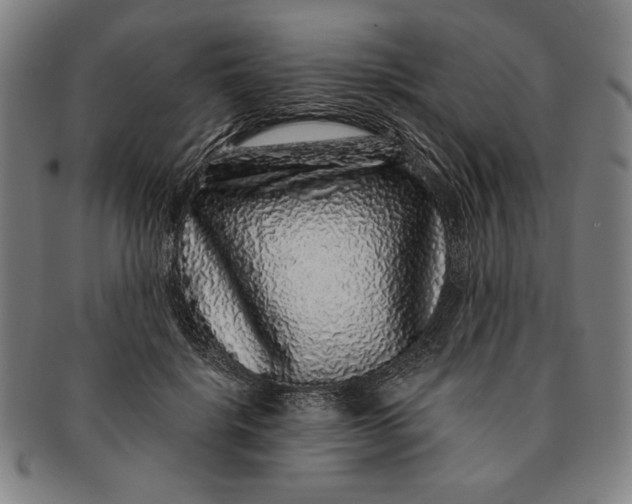 X0000091210652200708301429