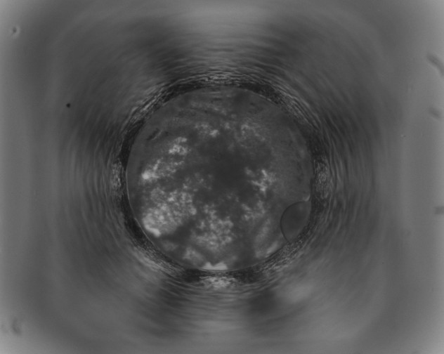 X0000091210654200708301429