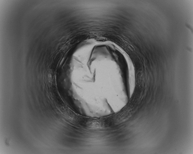 X0000091210655200708301429