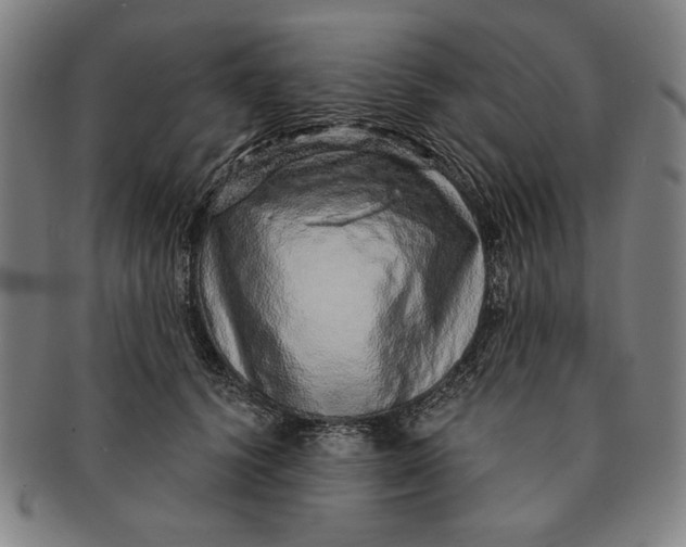 X0000091210656200708301429