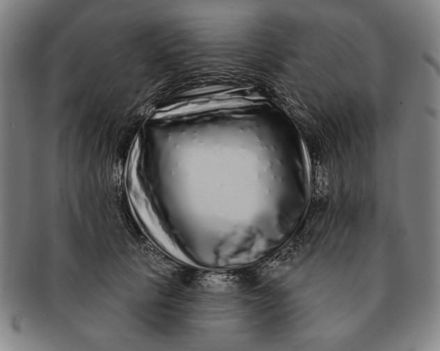 X0000091210657200708301429