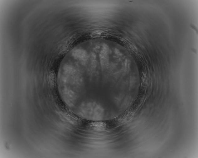 X0000091210659200708301429