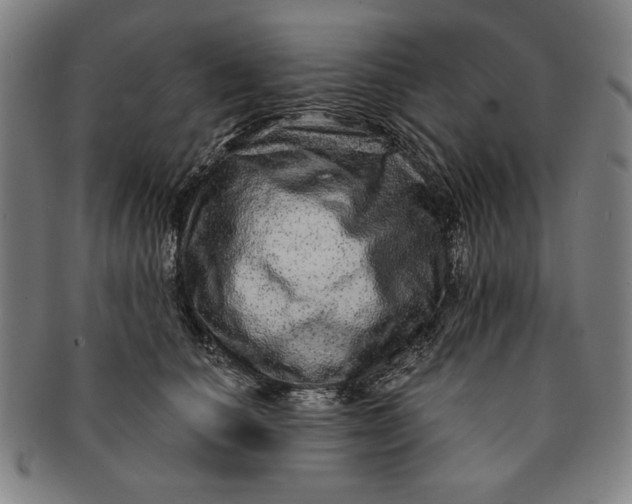 X0000091210660200708301429