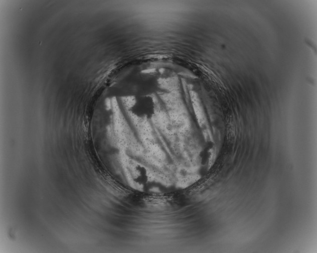 X0000091210661200708301429