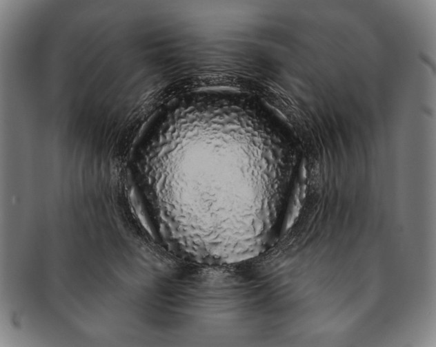 X0000091210662200708301429