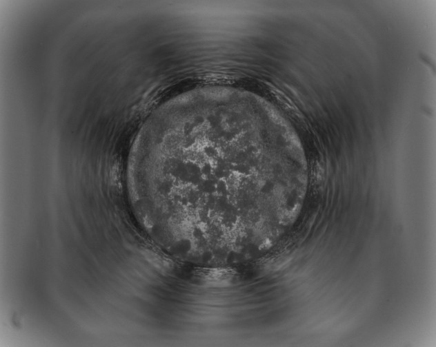 X0000091210663200708301429