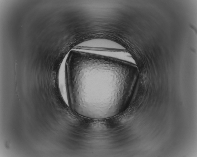 X0000091210664200708301429