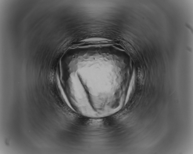 X0000091210665200708301429