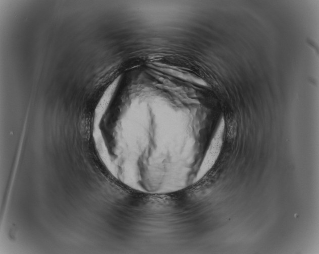 X0000091210666200708301429