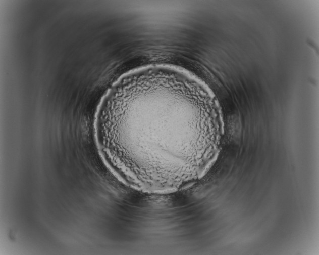 X0000091210667200708301429