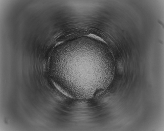 X0000091210668200708301429