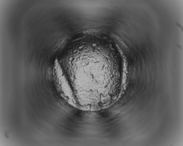 X0000091210669200708301429