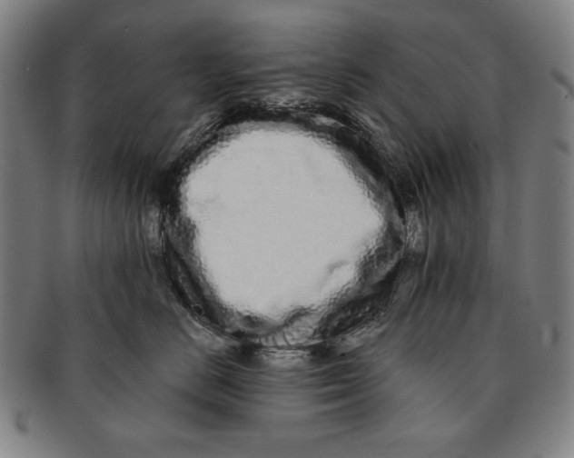 X0000091210670200708301429