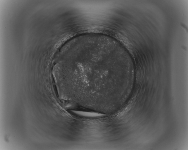 X0000091210673200708301429