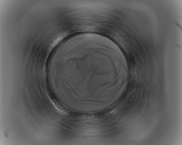 X0000091210674200708301429