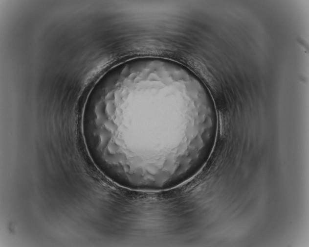 X0000091210675200708301429