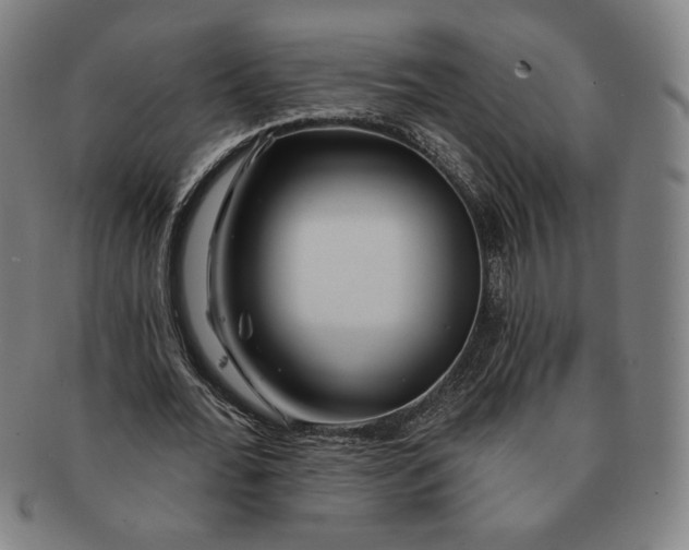 X0000091210676200708301429