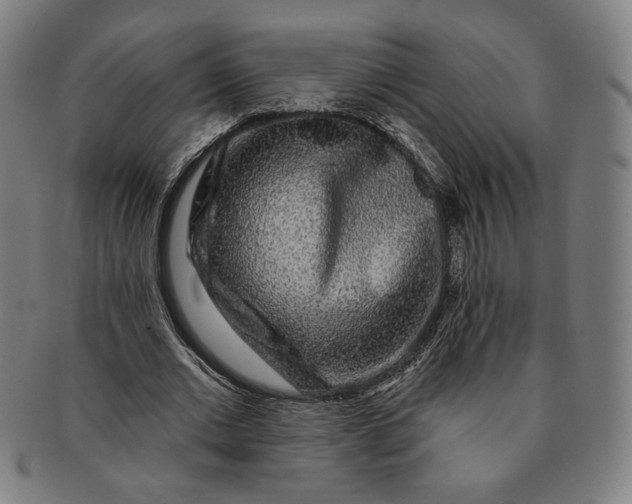 X0000091210677200708301429