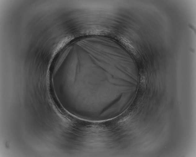 X0000091210678200708301429