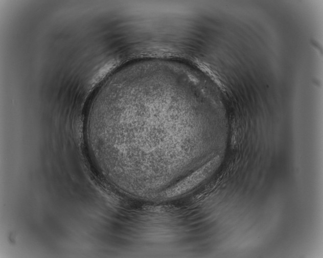 X0000091210679200708301428