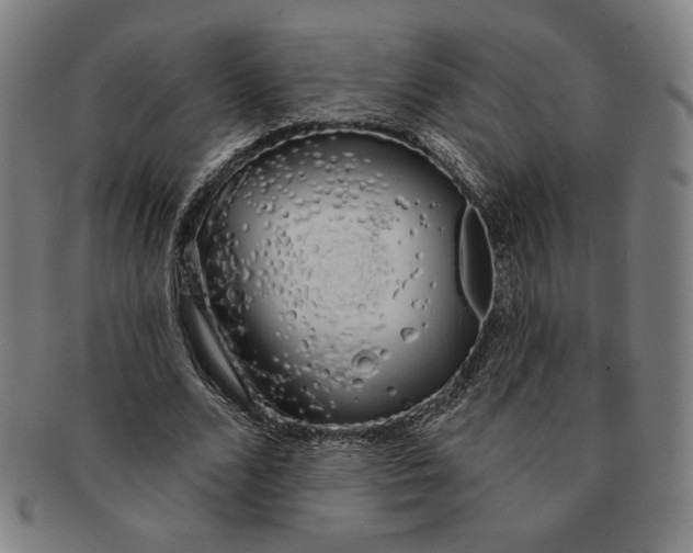 X0000091210680200708301428