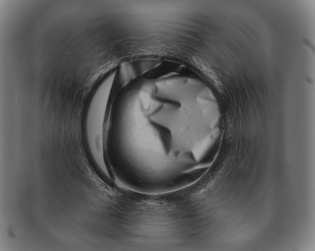 X0000091210681200708301428