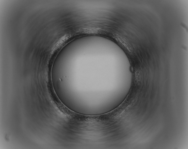 X0000091210682200708301428