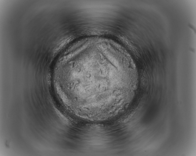 X0000091210683200708301428