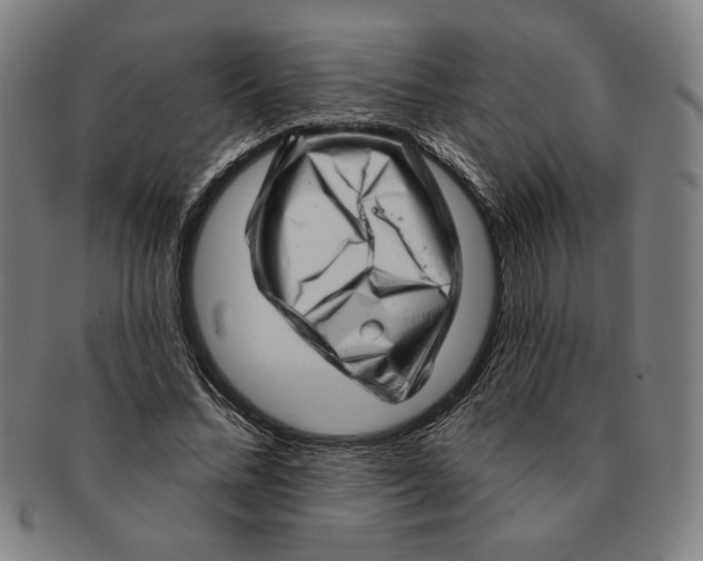 X0000091210684200708301428