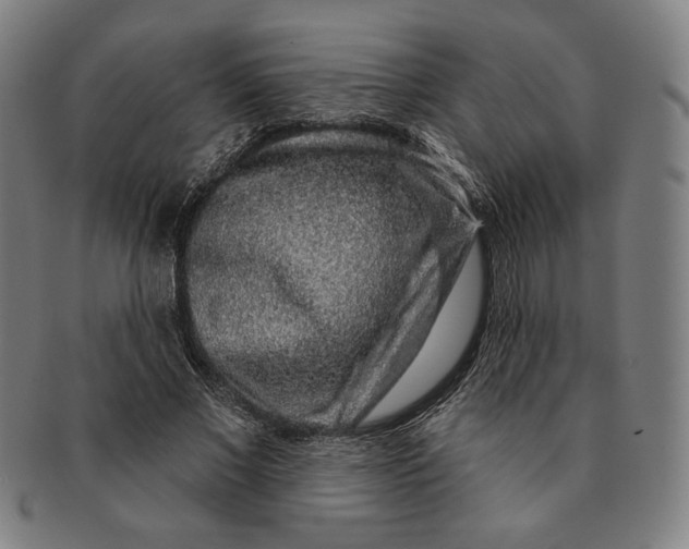 X0000091210685200708301428