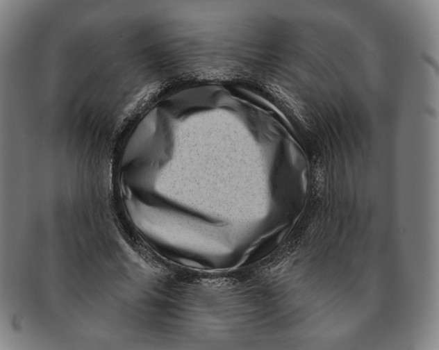 X0000091210686200708301428