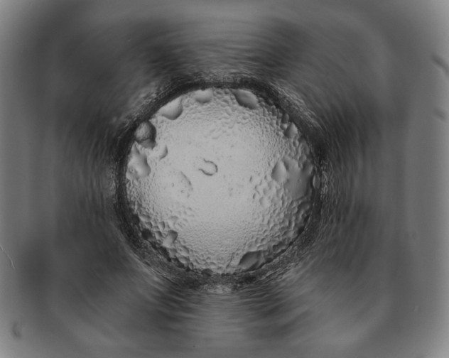 X0000091210687200708301428