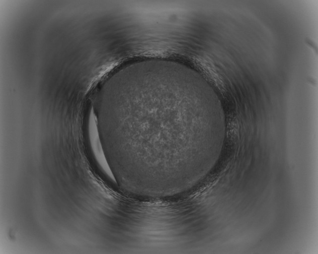 X0000091210688200708301428