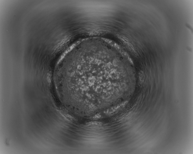 X0000091210691200708301428