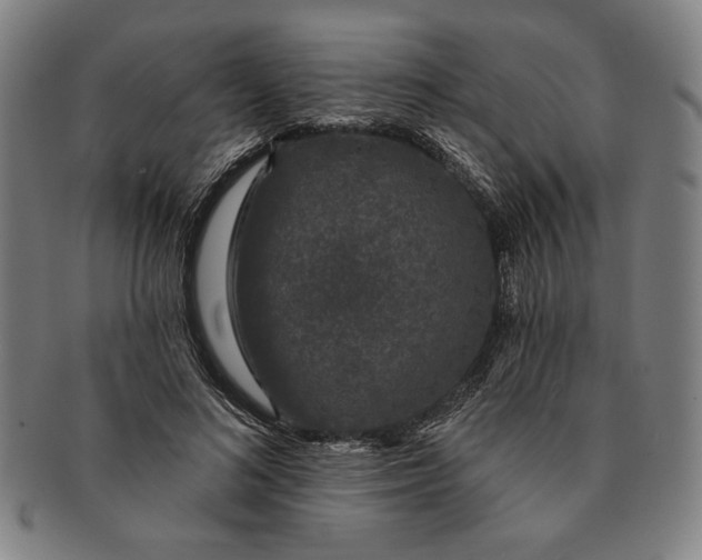 X0000091210692200708301428