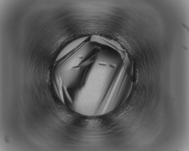 X0000091210693200708301428