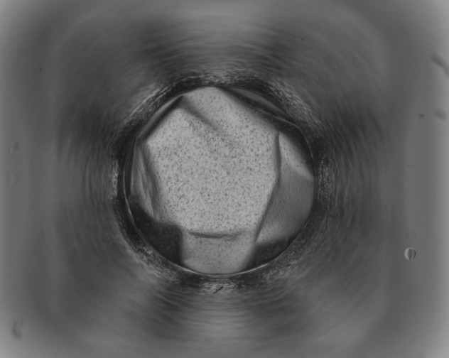 X0000091210694200708301428