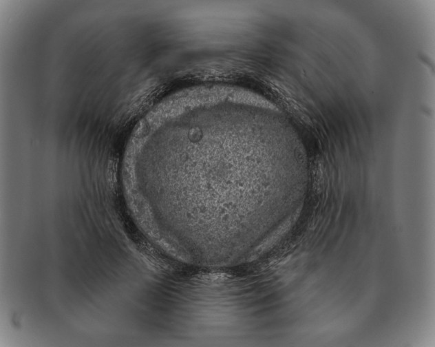 X0000091210695200708301428